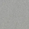 81