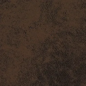 Gobi
