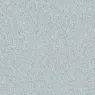 81