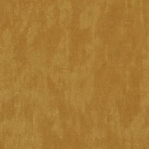 Terra