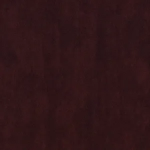 Terra